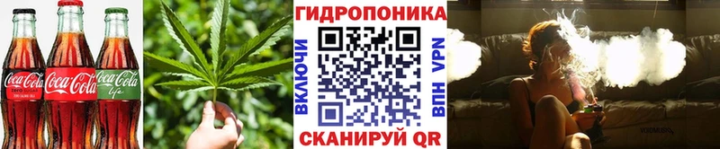 Cannafood марихуана  закладка  гидра как войти  Таштагол 